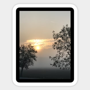 Trees in the fog during the sunset Sticker